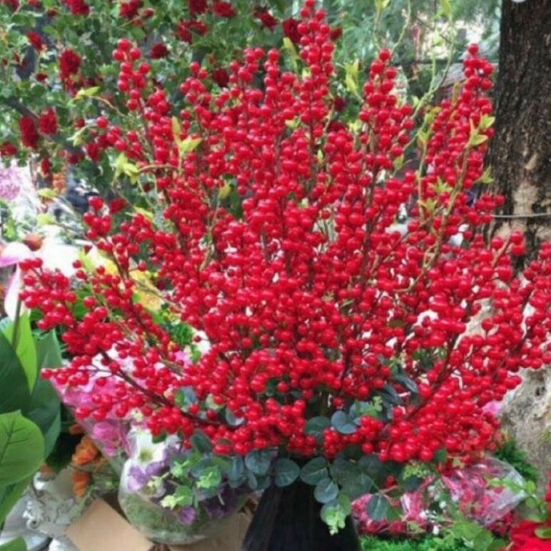 Cành hoa đào giả - Cành đào đông đỏ  nhánh trang trí ,hàng loại 1,quả to, sáng bóng đẹp mắt (Giá 1 cành)
