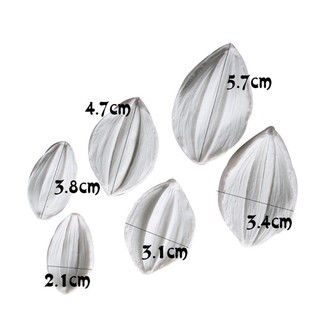 Gân silicon cánh hoa thược dược