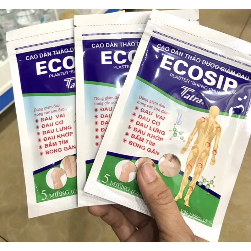 ECOSIP THẢO DƯỢC GIẢM ĐAU 1GÓI / 5MIẾNG