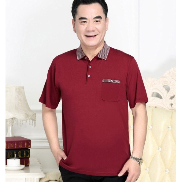 AN2217 -Áo thun nam cho người trung tuổi - giá 300k