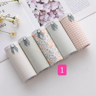 Set 5 quần chip