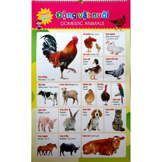 Tranh treo tường cho bé