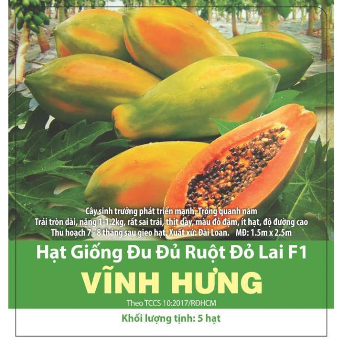 Hạt Giống Đu Đủ Ruột Đỏ Thơm Ngọt, Năng Suất Cao 5 Hạt