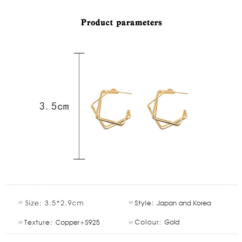 Bông Tai Nữ Chốt Bạc 925 Kiểu Dáng Độc Đáo Sành Điệu