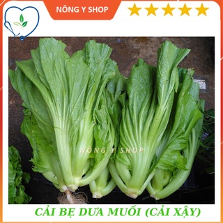 Gói 20g - túi zip 1g- cải bẹ dưa rạng đông rado 673