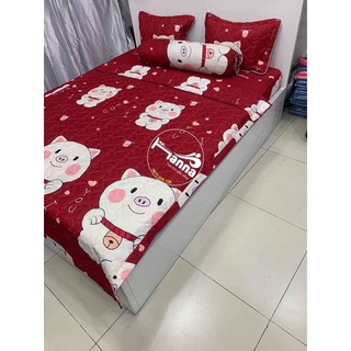 Set 5 món cotton poly