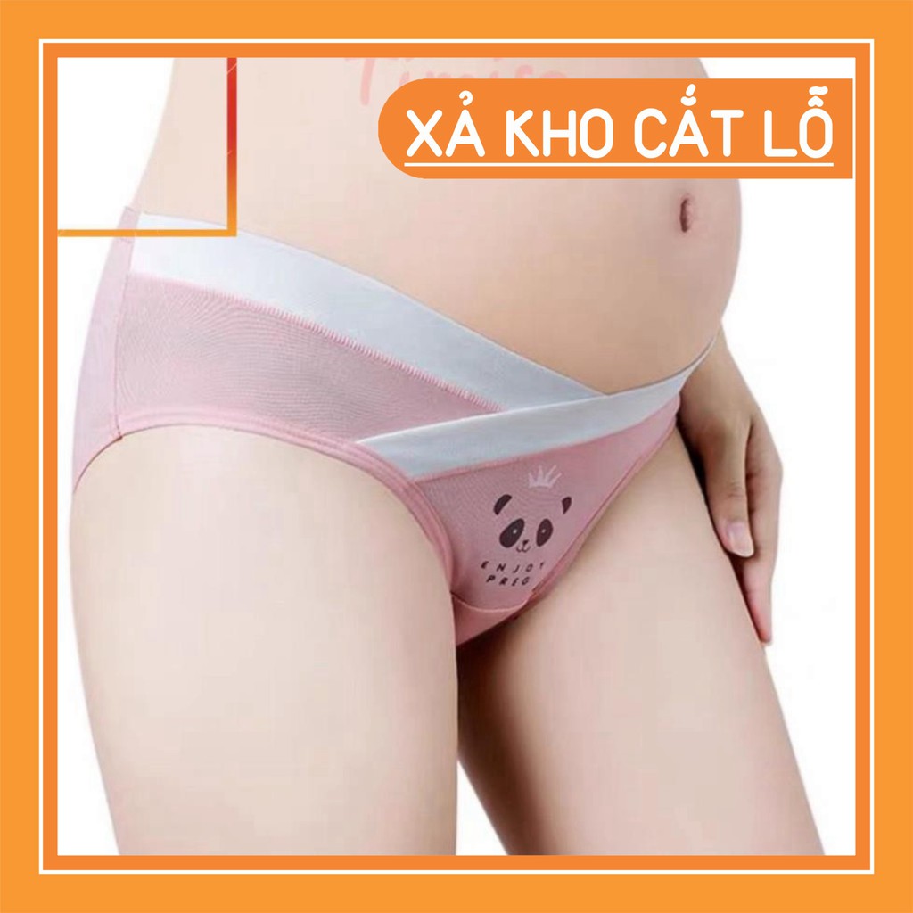 hot!!! hot!!! Quần Lót Bầu Cotton cạp chéo mặc trong váy cao cấp CS101 GIA SI