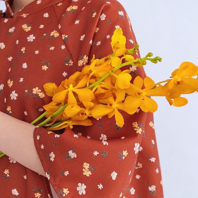 Set áo dài (kèm quần) Naked by V - Mứt Tết