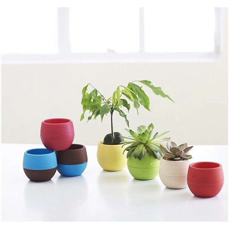 Chậu Hoa Nhựa mini Nhiều Màu Sắc Dùng Trang Trí Nhà Cửa / Văn Phòng
