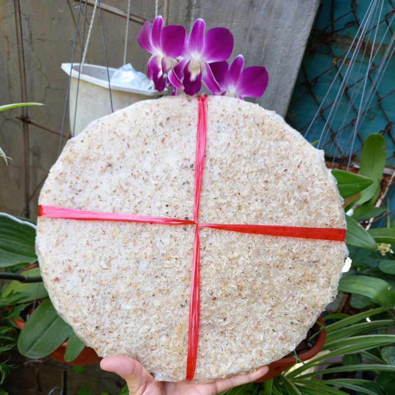 BÁNH TRÁNG NƯỚC CỐT DỪA BÌNH ĐỊNH