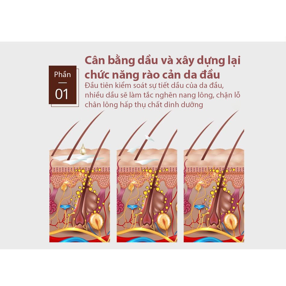 [Có Hàng Sẵn] VIBRANT GLAMOUR Tinh chất mọc tóc serum phục hồi &amp; nuôi dưỡng tóc hư tổn kích thích mọc tóc dạng xịt 30ml