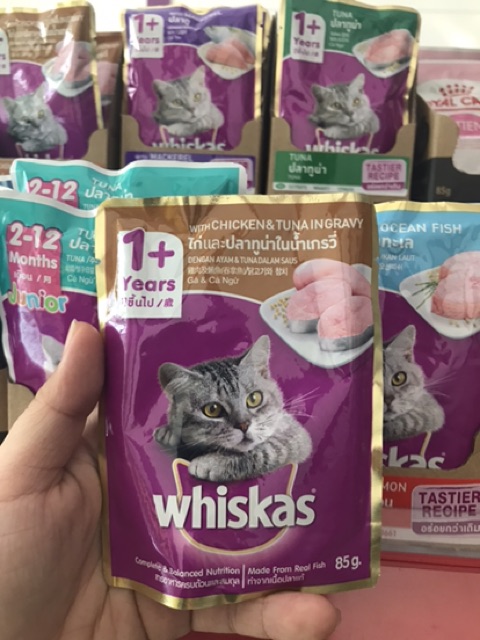 Pate dành cho mèo Whiskas