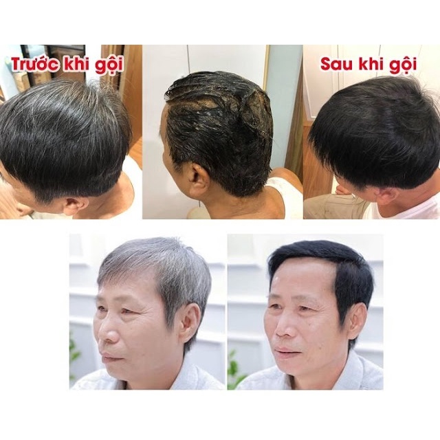 Dầu Gội Phủ Bạc Sin Hair - Dầu Gội Nhuộm Tóc Phủ Bạc Đen, Nâu Tóc Số 1 Nhật Bản 500ml