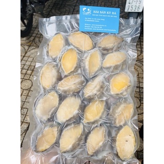 (Giá Sỉ) Bào Ngư Size 18 Con - Q12
