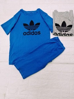 Combo 3 bộ ngố bất kì