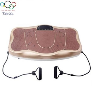 Máy Rung Toàn Thân KaTa - Có Nhạc - Kết Nối Bluetooth nghe nhạc