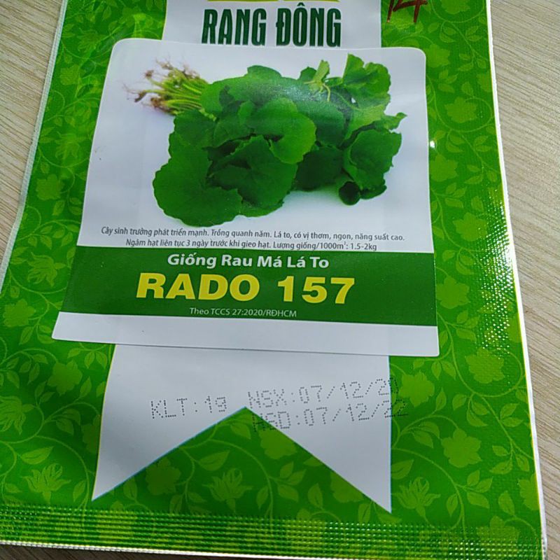 Hạt giống RD Rau má lá to 157-14k