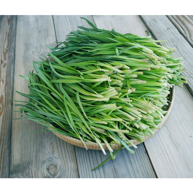[HCM] Lá hẹ Đà Lạt NTFood 1 Kg / 500 Gr - Nhất Tín Food