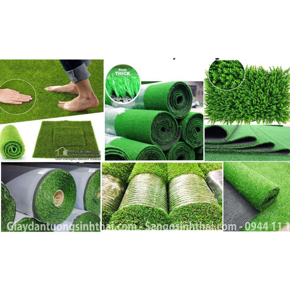 Tấm cỏ nhựa giá rẻ 25cm x 50cm