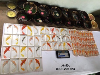 Bộ 500g Resin Vẽ Cá