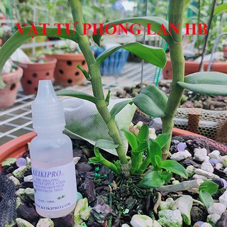 Kích ki Mỹ pro chuyên dùng cho kích ki phong lan