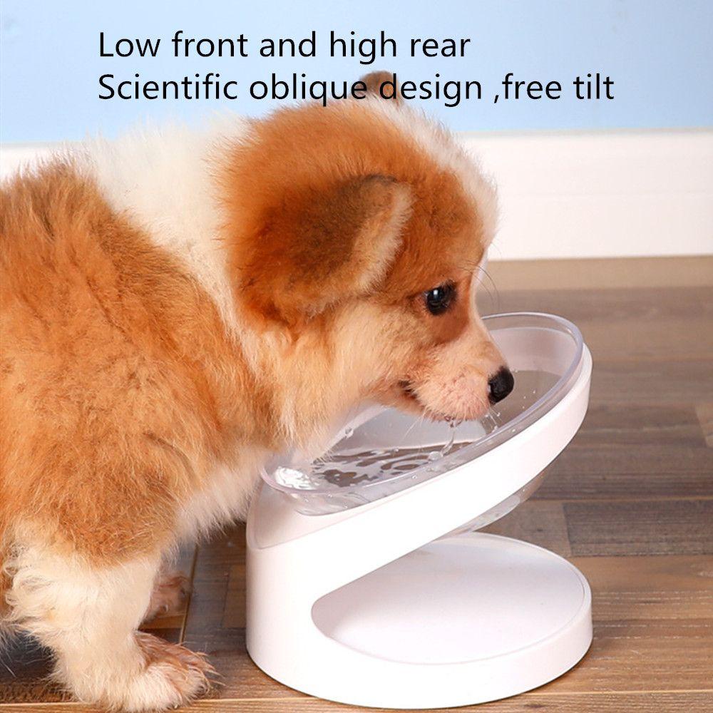 Tô Đựng Thức Ăn Trong Suốt Dành Cho Thú Cưng