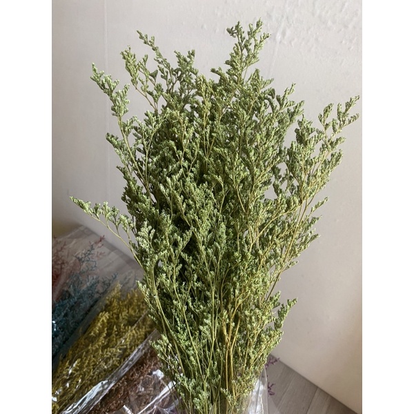 Bó Hoa Sao Đuôi Công Khô, Sao Tình Nhân, Sao Khô Hàng Loại 1