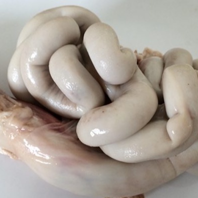 Dồi trường 500g