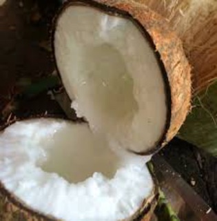 Combo 2 dừa sáp