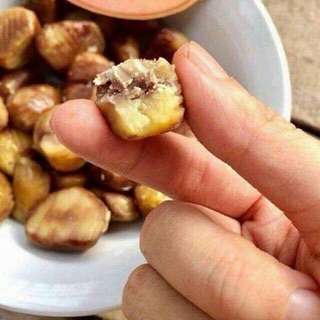 Hạt dẻ mật ong
