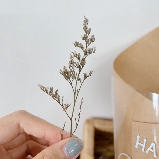 Nhánh hoa baby khô, hoa trang trí thiệp, bánh kem, qùa tặng