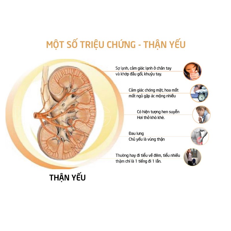 Trà thảo mộc b.ổ th.ận tr.áng d.ương Thông Cát, tăng cư.ờng sinh lý nam, hỗ trợ rối lo.ạn cư.ơng d.ương