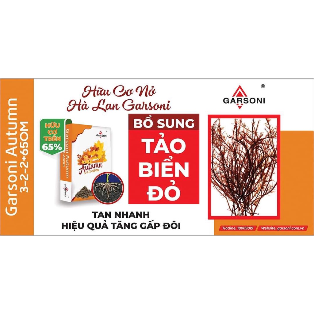 0.5kg Phân hữu cơ khoáng nở Hà Lan Autumn 65OM bổ sung tảo biển đỏ siêu dưỡng chất cho cây trồng