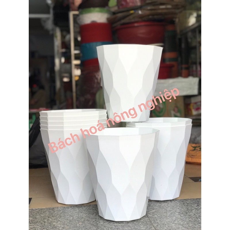 Chậu nhựa tám cạnh &amp; Kim Cương size 23 cm ( có combo dĩa lót chậu)