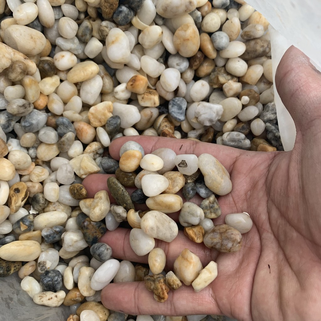 Sỏi muối tiêu viên lớn trang trí bể cá, chậu cây 1kg