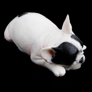 [Prettyiavn] Động vật ngủ thực tế