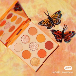 phấn mắt COLOURPOP orange you glad