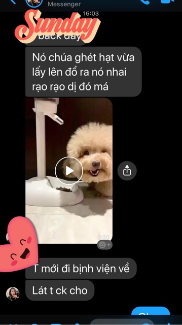 Hạt Nhật  CHỐNG VIÊM DA, DƯỠNG LÔNG, HẠN CHẾ CHẢY NƯỚC MẮT)