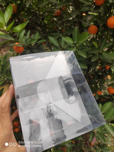 COMBO 10 Hộp nhựa PET đựng bupbe Doll  KT 12x14x23 (cm) | BigBuy360 - bigbuy360.vn