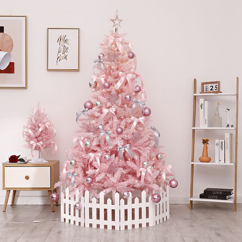 Cây thông hồng Noel 1m2-2m1 dày lá