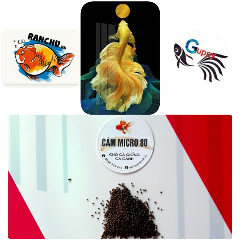 [Giá Sỉ] Combo 2kg cám Micro 80 dành Goldfish, Betta, Ranchu