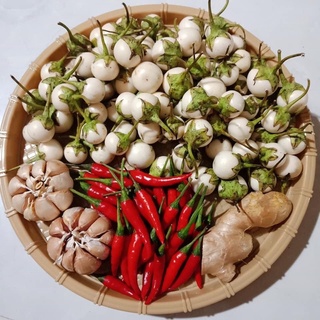 Cà dầm chua ngọt , kim chi cà pháo ( hũ 1kg)