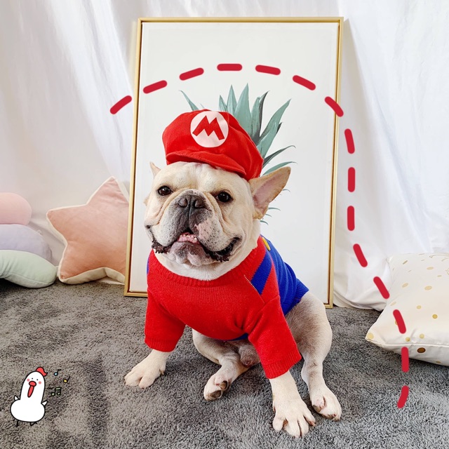 ÁO LEN MARIO CAO CẤP DÀNH CHO CHÓ MÈO