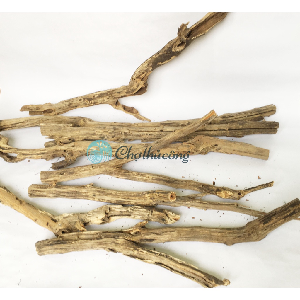 Nhánh lũa thủy sinh cành cây khô tự nhiên nhiều hình dạng không đẹp trang trí hồ cá, decor vintage