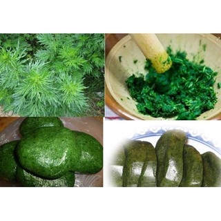 BỘT LÁ NGẢI CỨU 50G