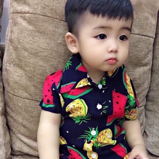 Bộ thuy linh