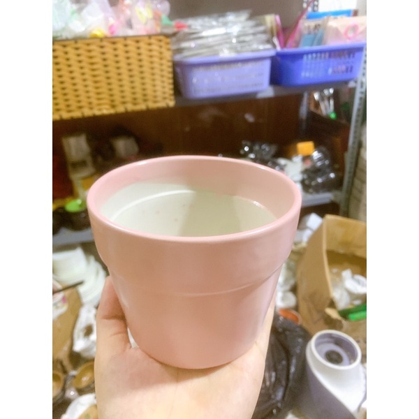 Chậu sứ trồng cây màu pastel