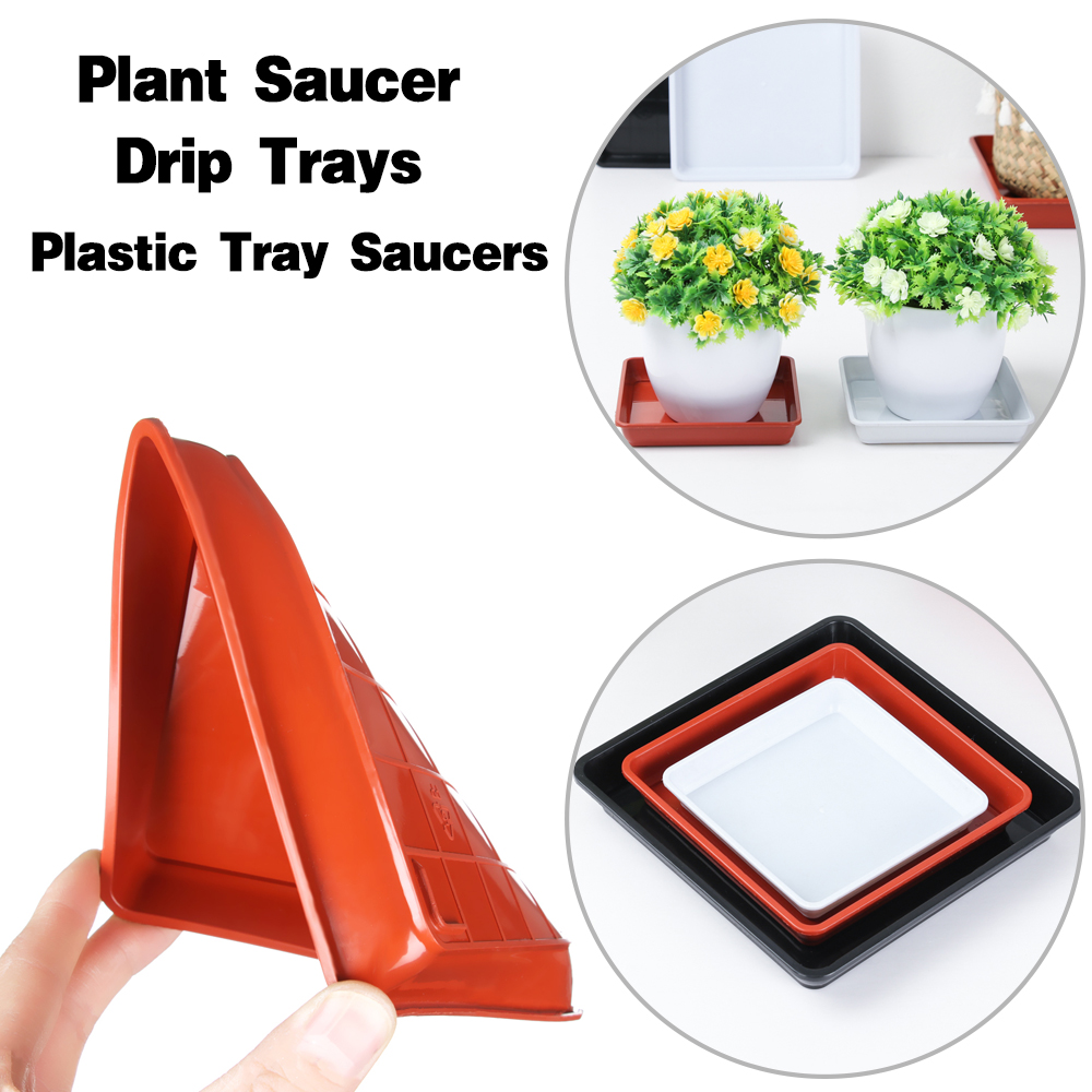 1 Chiếc Khay Nhựa Bền Chắc Dùng Để Trồng Cây Trong Nhà