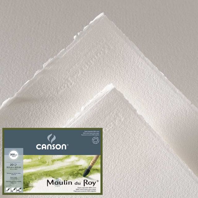 Giấy Canson/ Fabriano a0 250g - 300g các loại Và Canson Moulin Heritage a1, a2