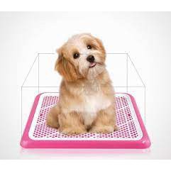 khay vệ sinh chó - khay huấn luyện chó đi vệ sinh đúng chỗ 35x50cm